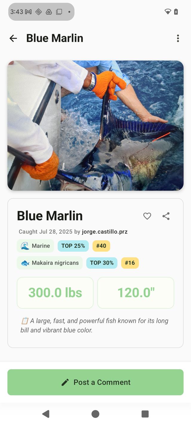 Big Fish App Screenshot - Fish Identification Interface